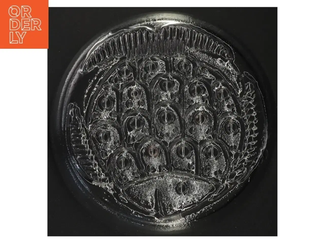 Billede 4 - Glas serverings fad med fiskemotiv i bunden (str. 22 x 6 cm)