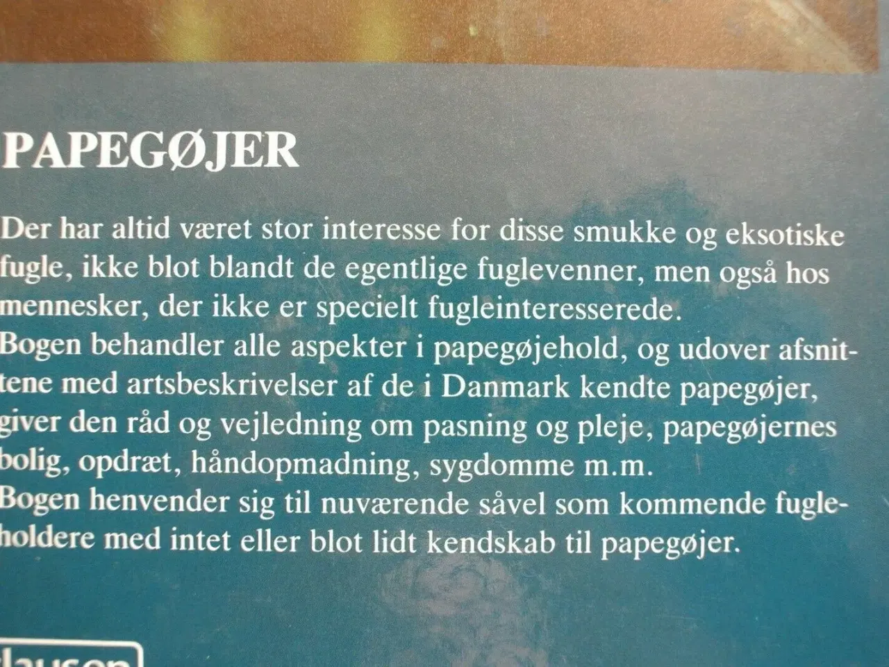 Billede 4 - papegøjer. parakitter. lorier. kakaduer, Af peter 