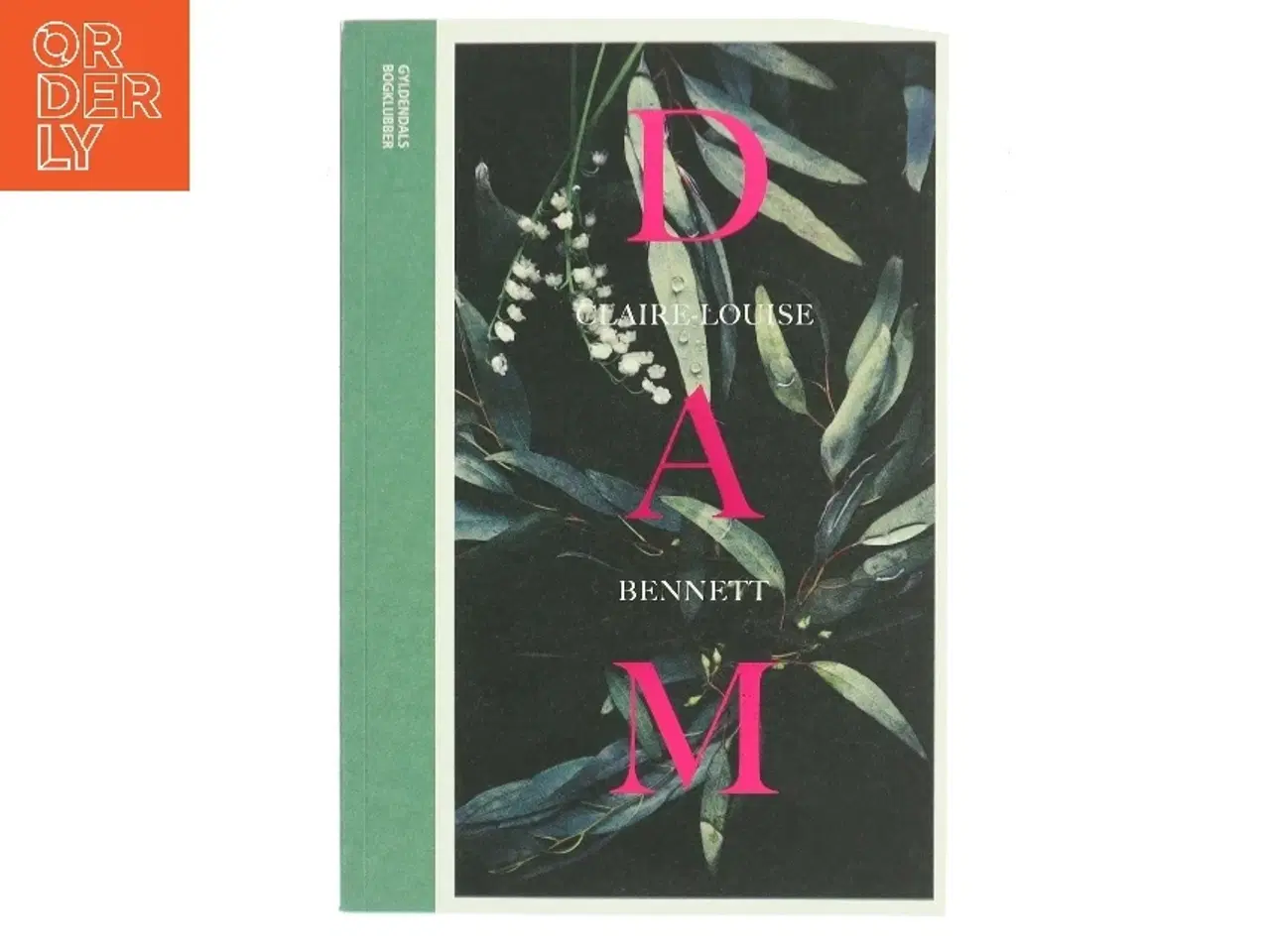Billede 1 - Dam af Claire-Louise Bennett (Bog)