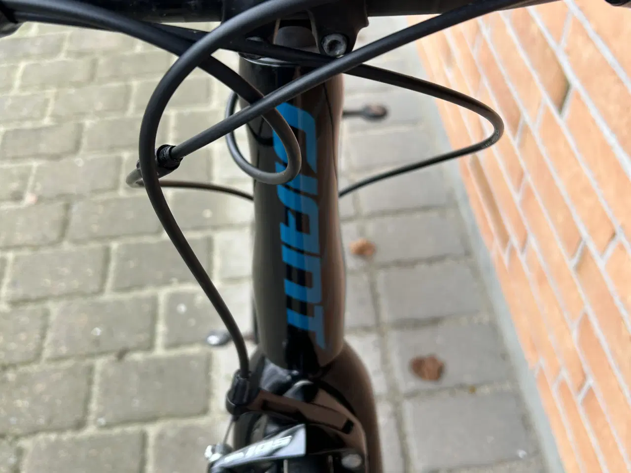 Billede 5 - Begyndercykel - Giant TCR Advanced Pro 2