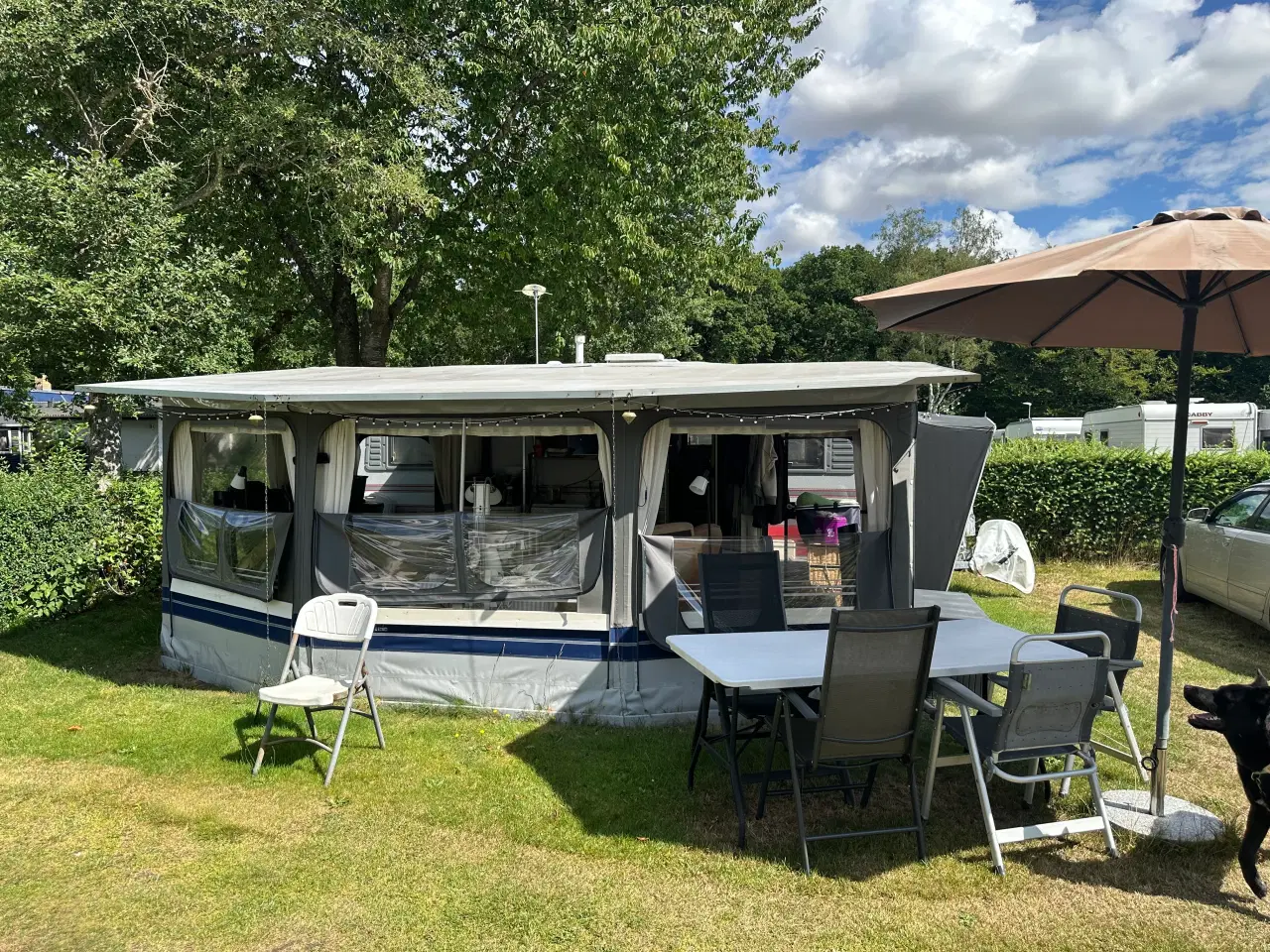 Billede 4 - Svensker fortelt model 5000 ( Standby telt )