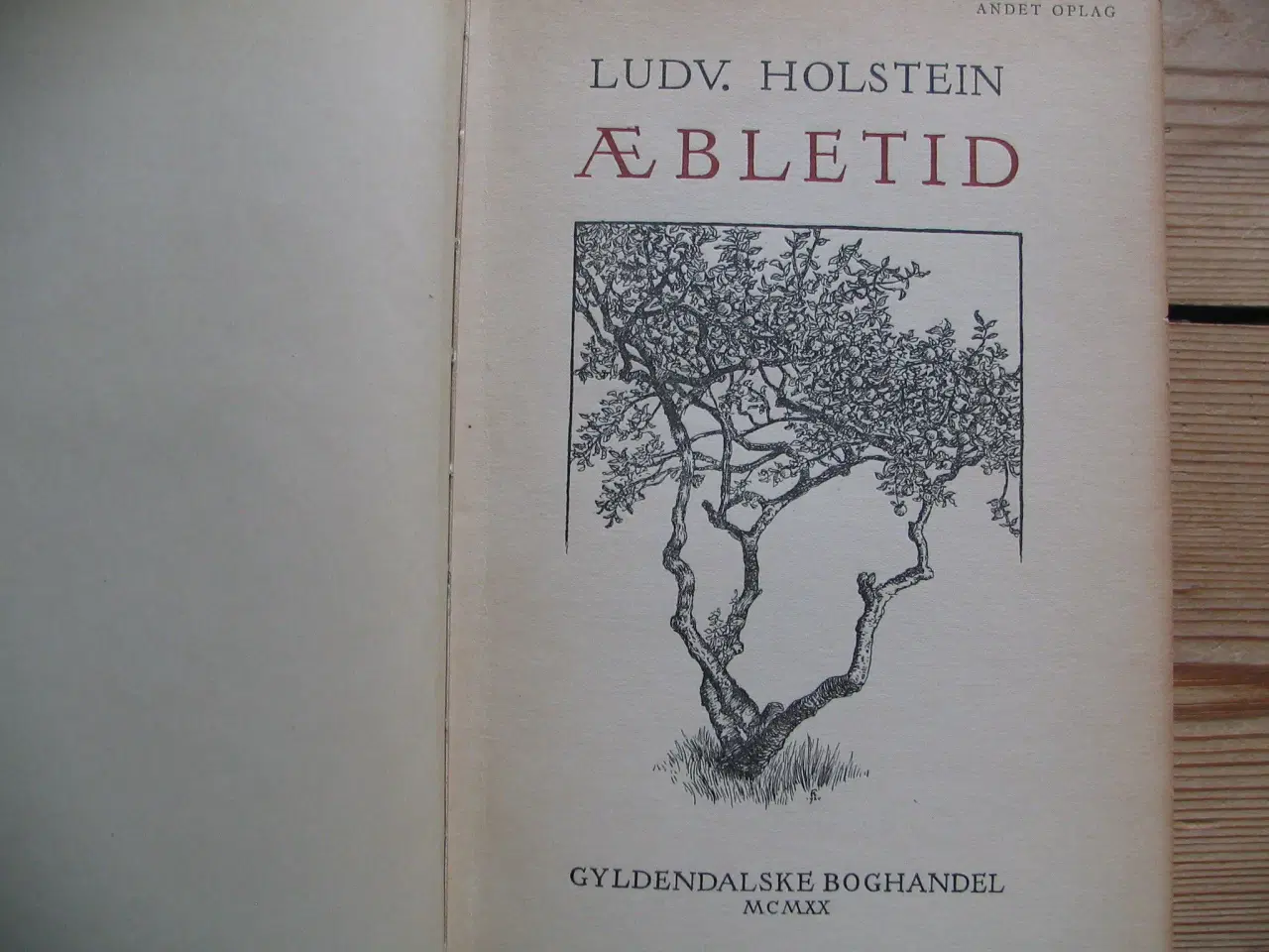 Billede 3 - Ludvig Holstein. Æbletid ? Digte. fra 1920