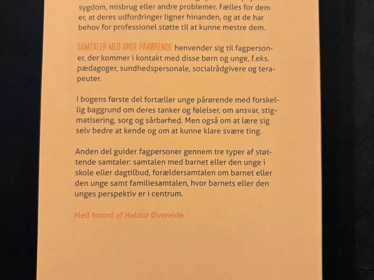 Billede 2 - Samtaler med unge 