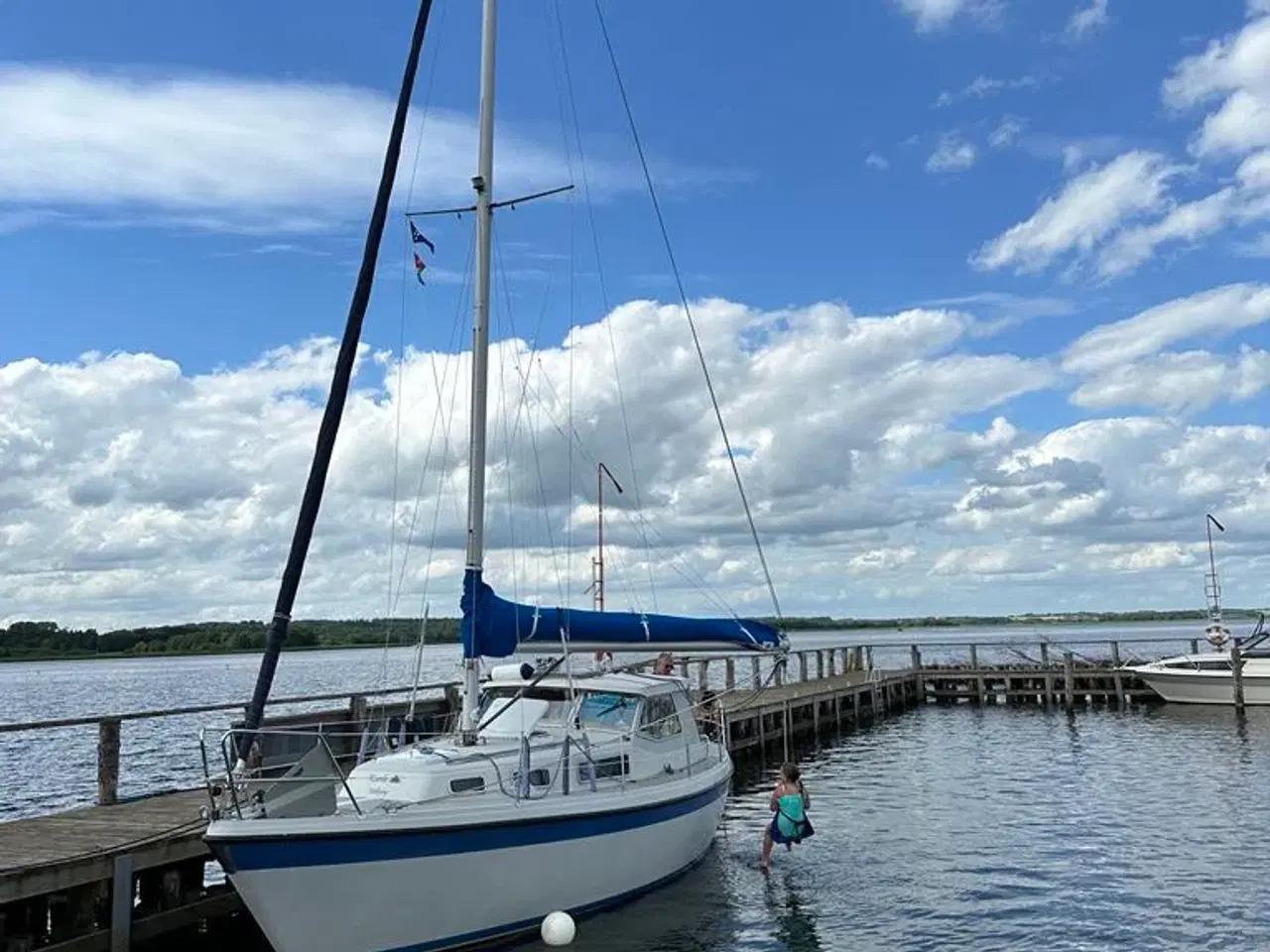 Billede 1 - LM 30 sælges