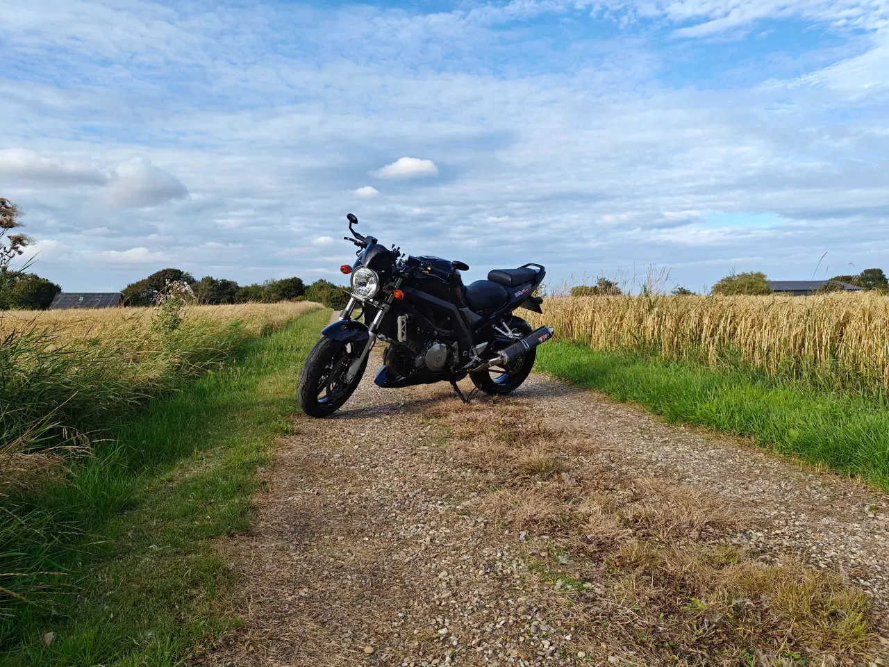 Billede 1 - Suzuki SV1000