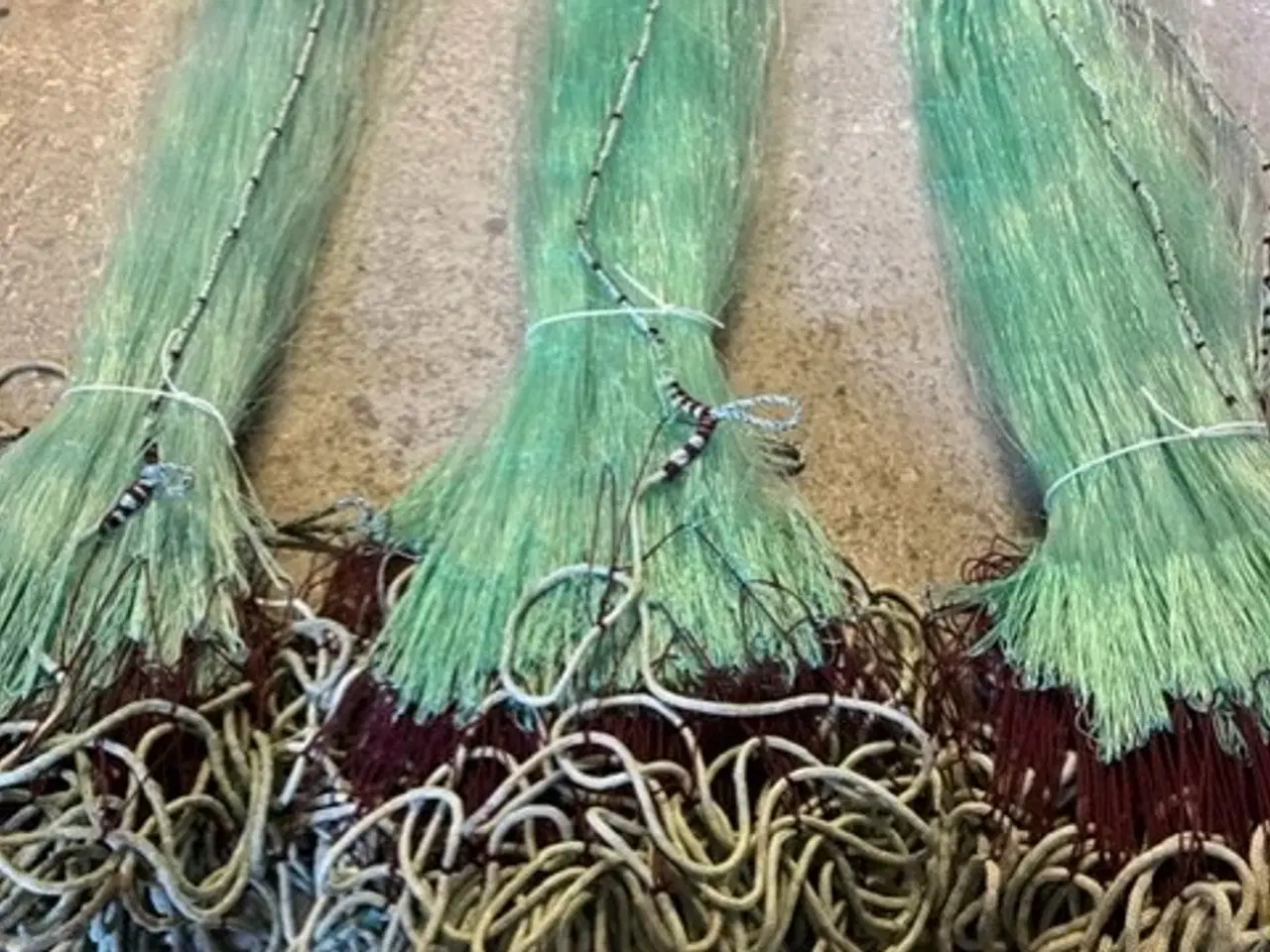 Billede 2 - NYT FISKEGARN TIL FLADFISK - EN BLANK - PIGHVAR.