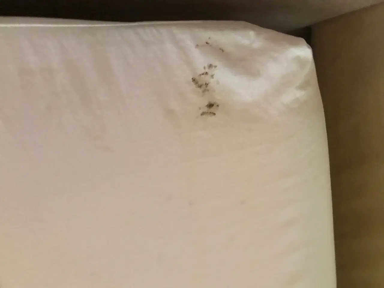 Billede 5 - Dublin sovesofa.