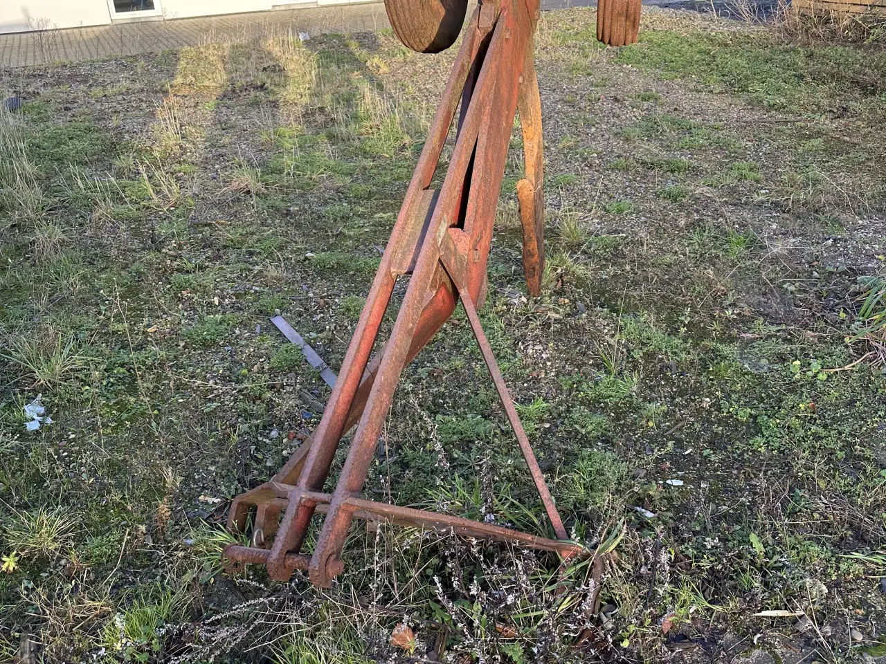 Billede 2 - Ældre men stærk grubbe