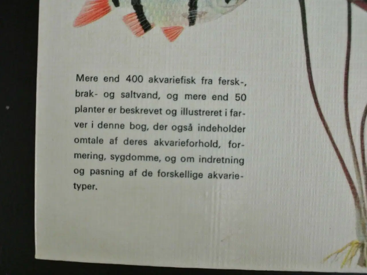 Billede 3 - akvariefisk og planter, af arne schiøtz. ill. af p