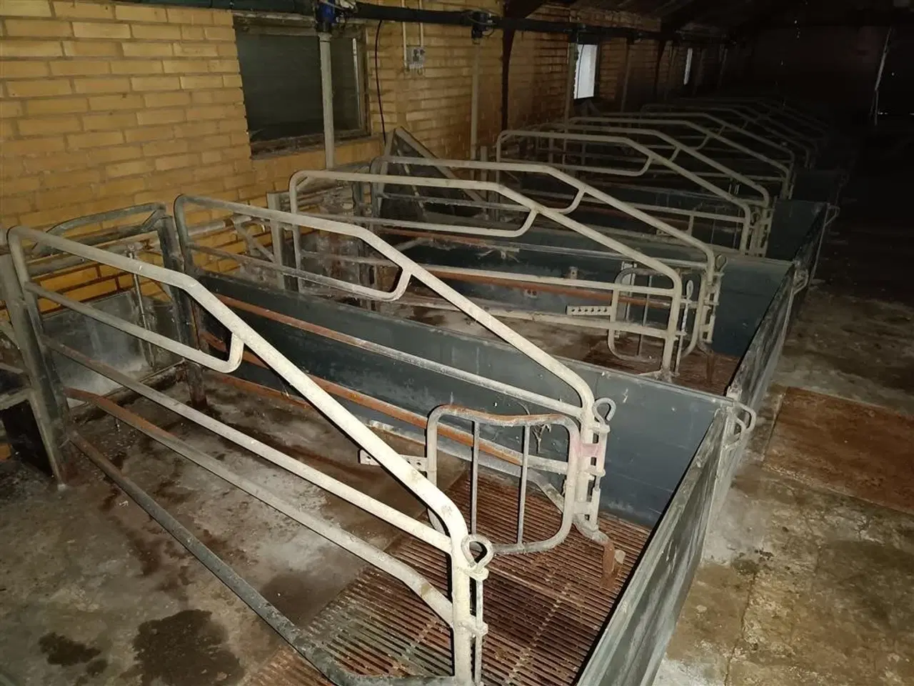 Billede 2 - - - - Sdr Vissing Farestier 48 stk.