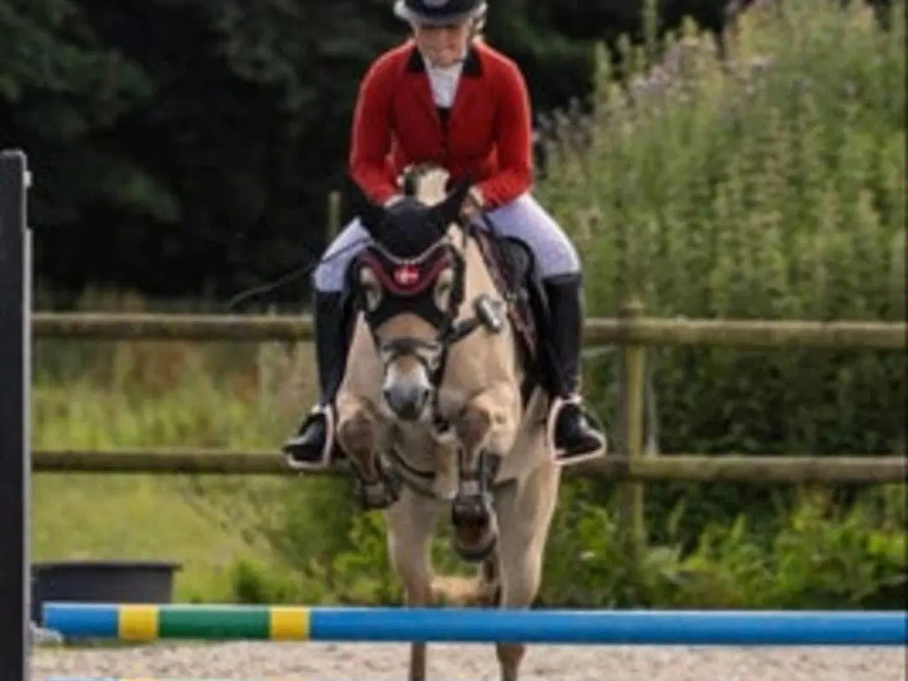 Billede 3 - Leder efter en part til min skønne pony!! 