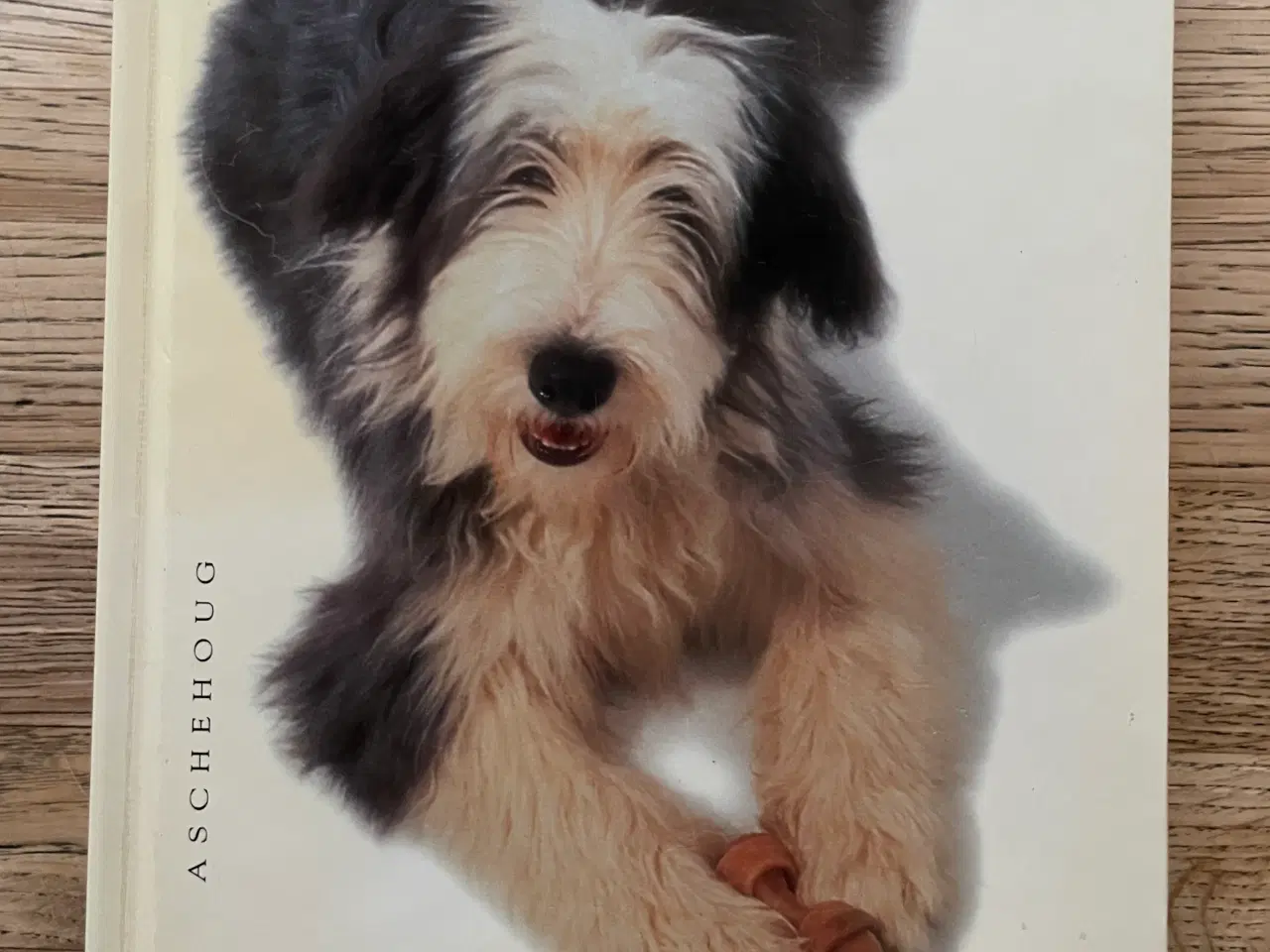 Billede 1 - Hvalpebogen, Gwen Bailey