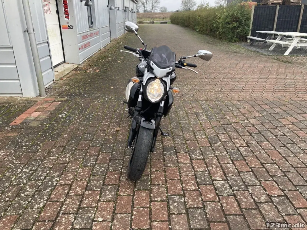 Billede 7 - Suzuki SFV 650 Gladius