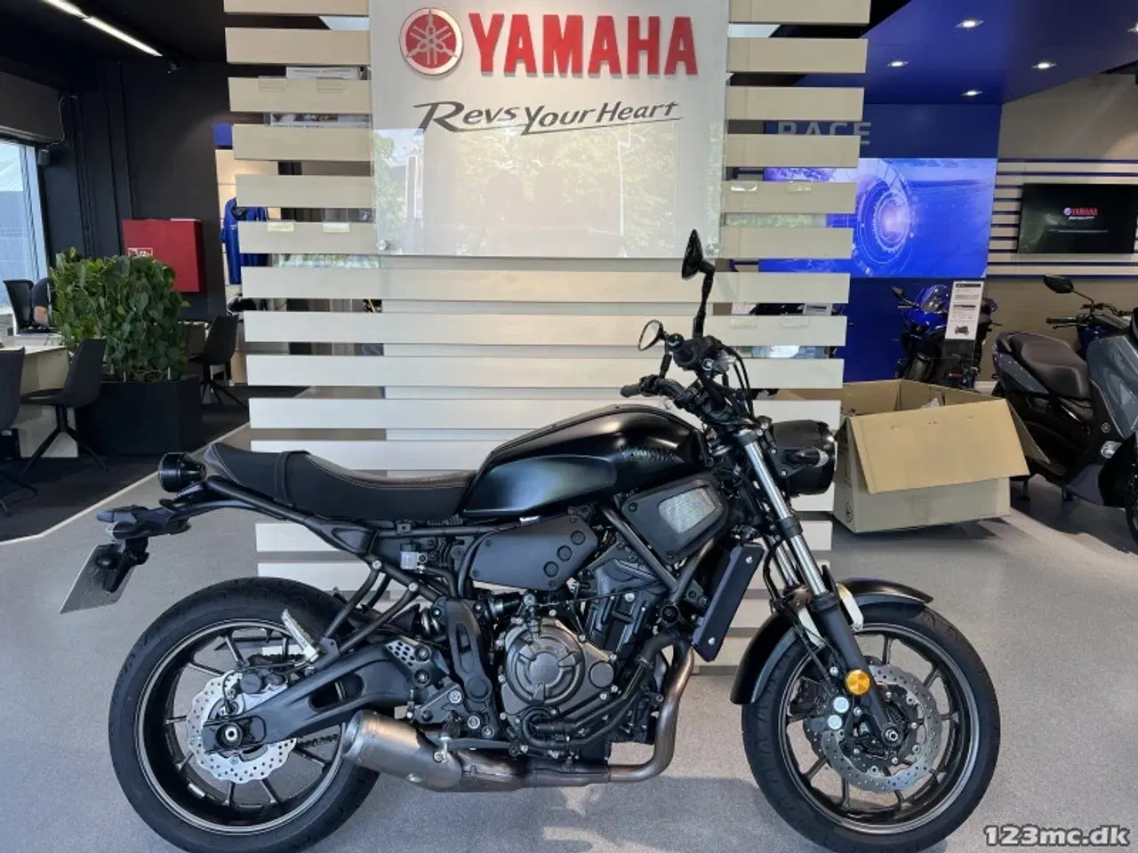 Billede 2 - Yamaha XSR 700