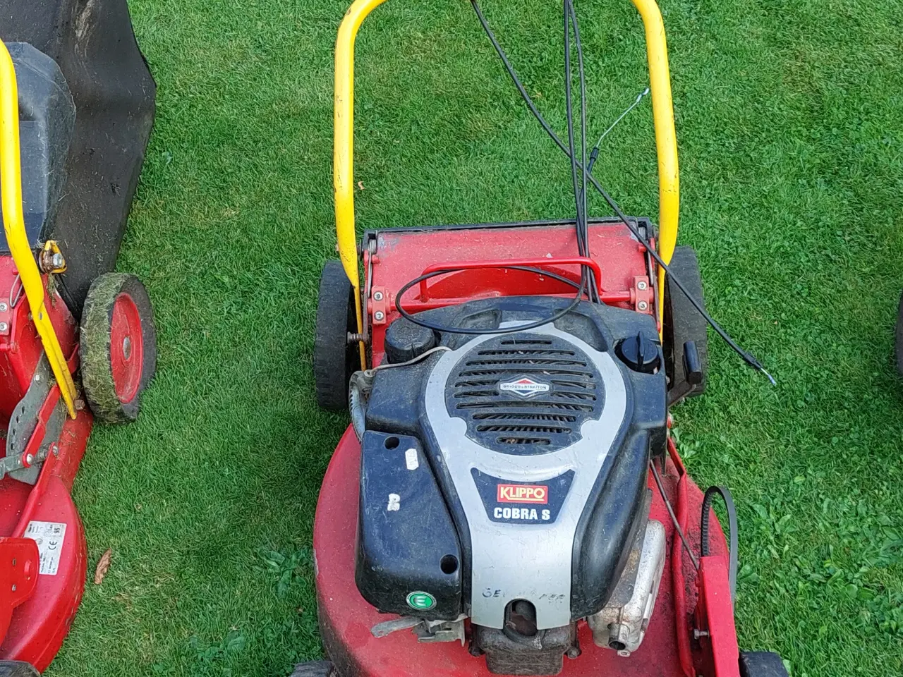 Billede 5 - Klippo plæneklipper 