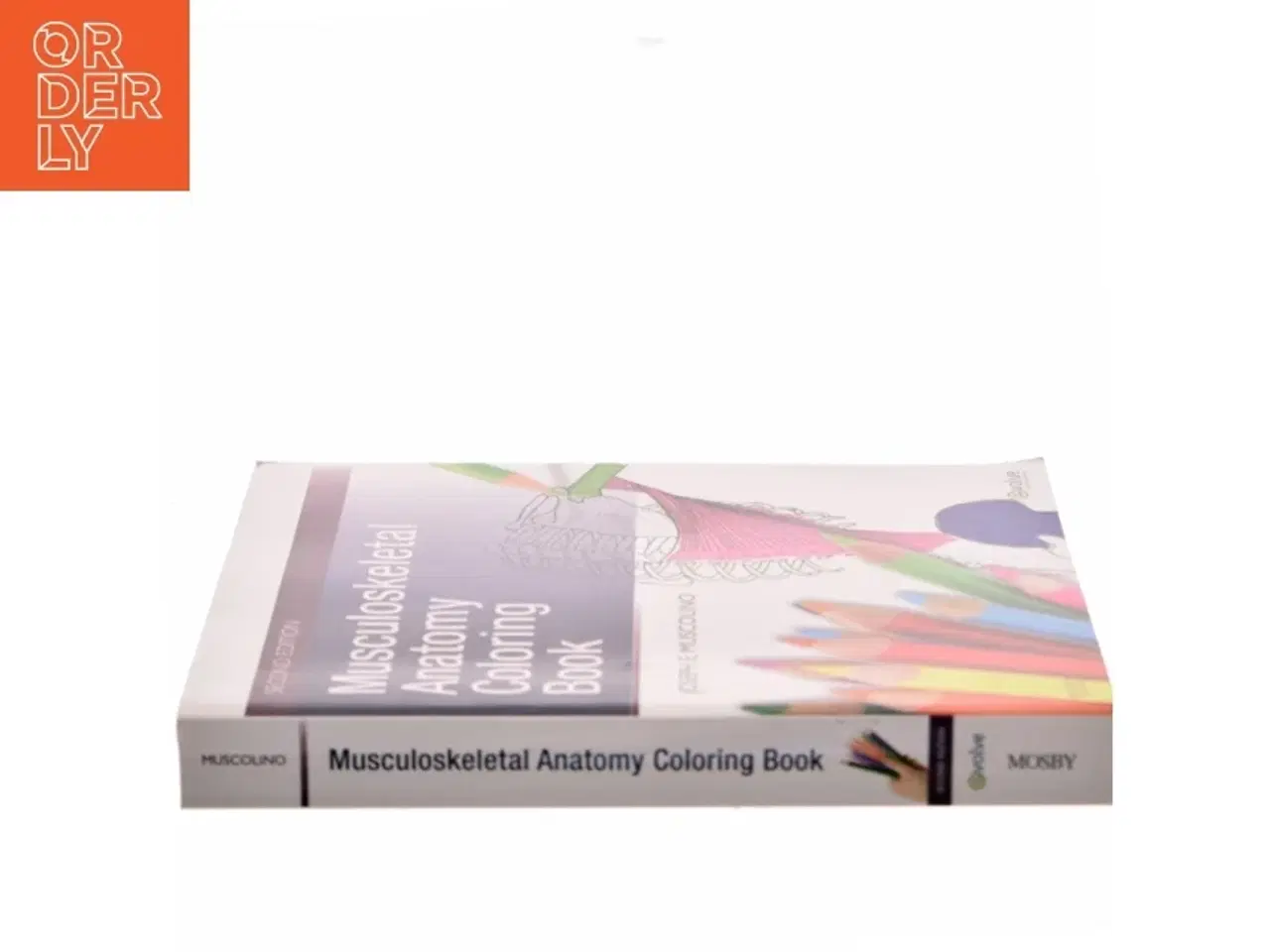 Billede 2 - Musculoskeletal Anatomy Coloring Book af Joseph E. Muscolino (Bog)