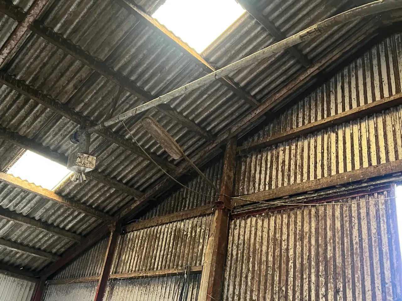 Billede 4 - Silo med flekssnegl kom med et bud