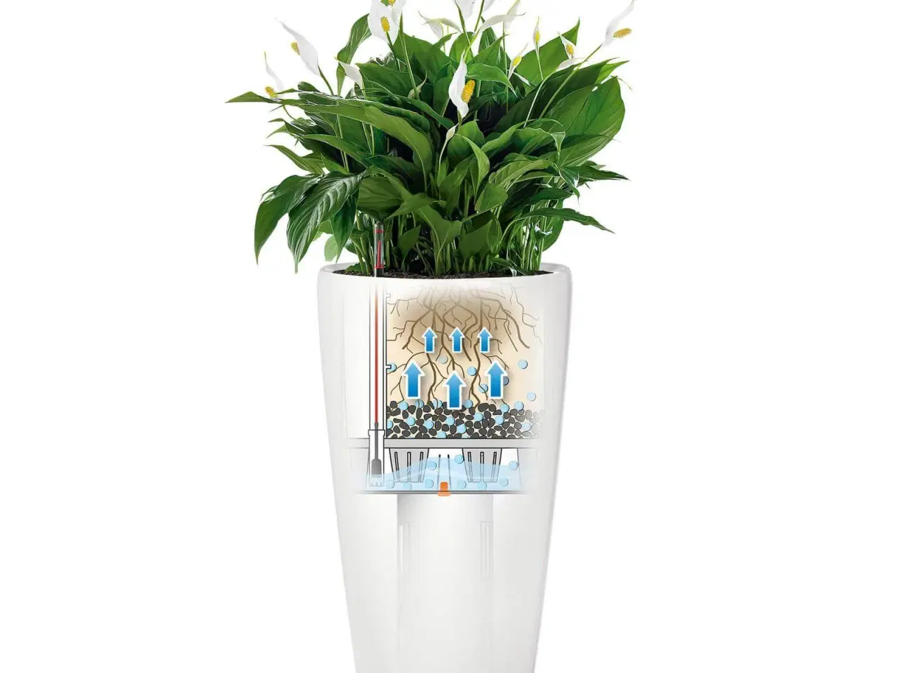 Billede 5 - Elho Pure Soft Round Plantekrukke 90 cm Antracit
