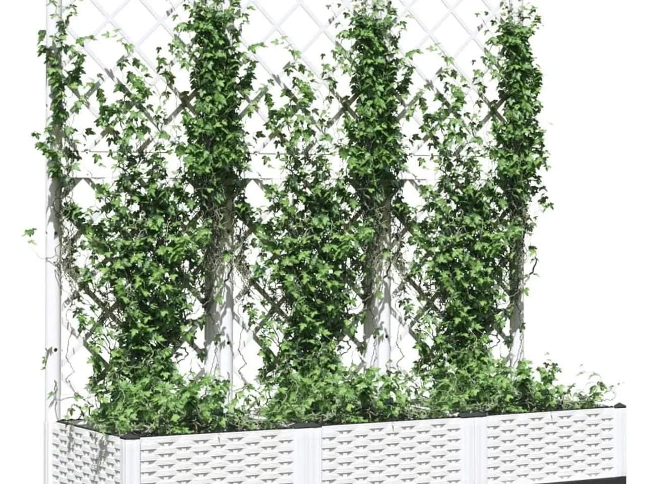 Billede 3 - Haveplantekasse med espalier hvid 120x40x121,5 cm PP