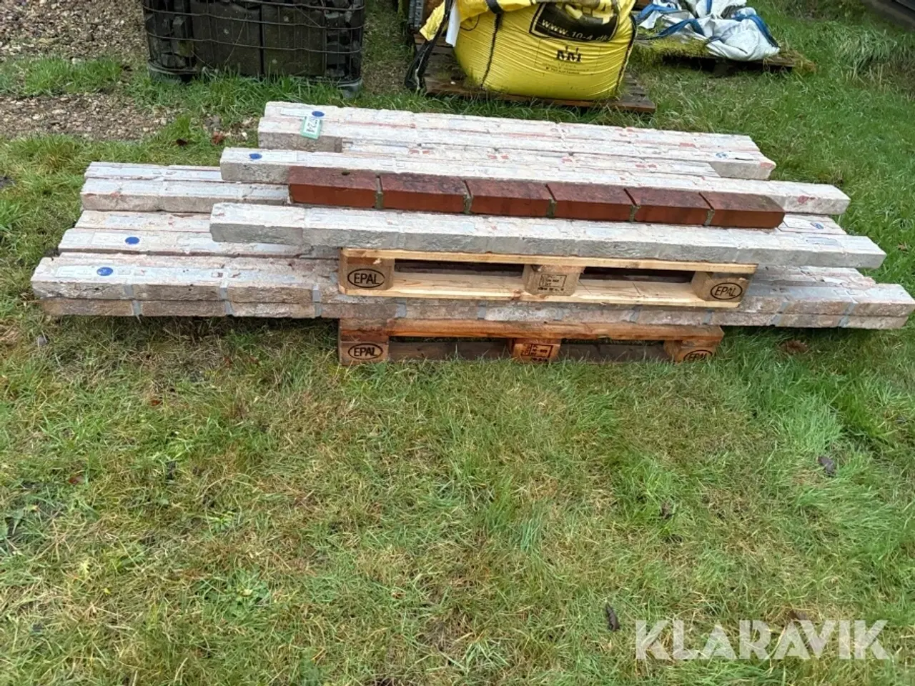 Billede 8 - Overlæggere 21 styk