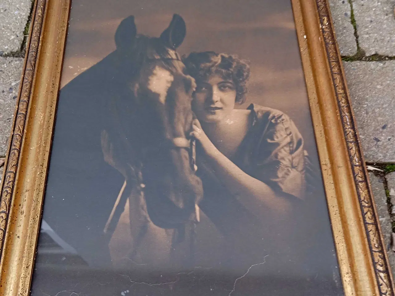 Billede 3 - Antikke gamle billeder af kvinder og heste