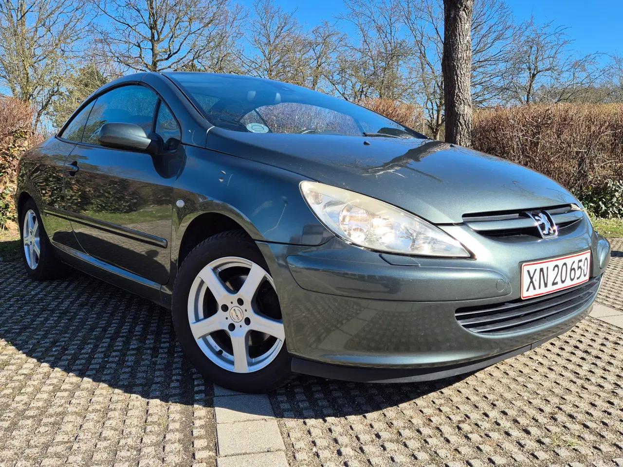 Billede 11 - 307 Cabriolet 