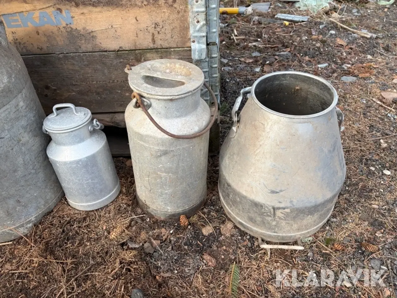 Billede 6 - Mælkejunger 12 styk samlet lot