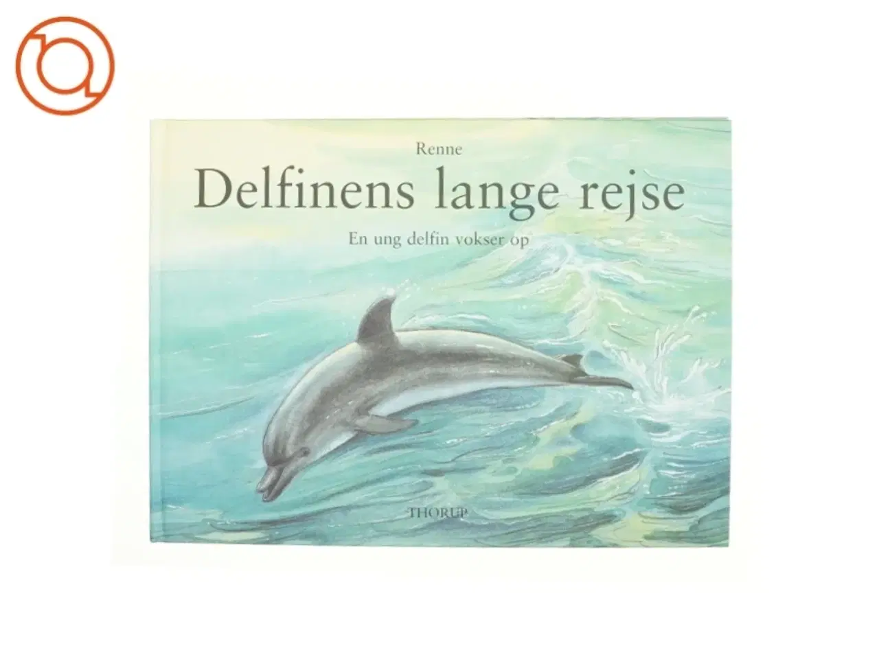 Billede 1 - Delfinens lange rejse af Renne (Bog)