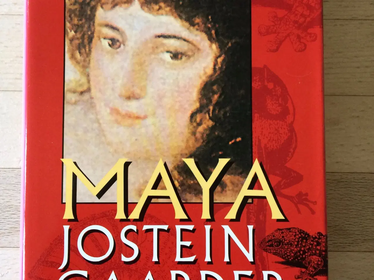 Billede 1 - Maya, Jostein Gaarder