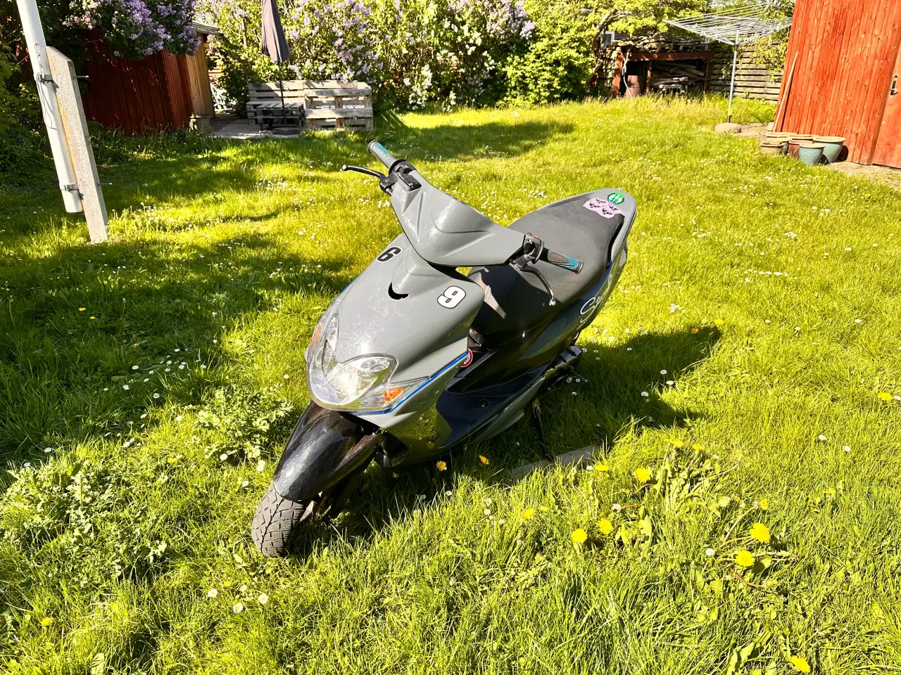 Billede 1 - Lovlig Jog r fra før plade loven