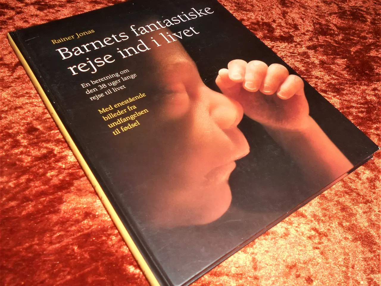 Billede 1 - Barnets fantastiske rejse ind i livet,