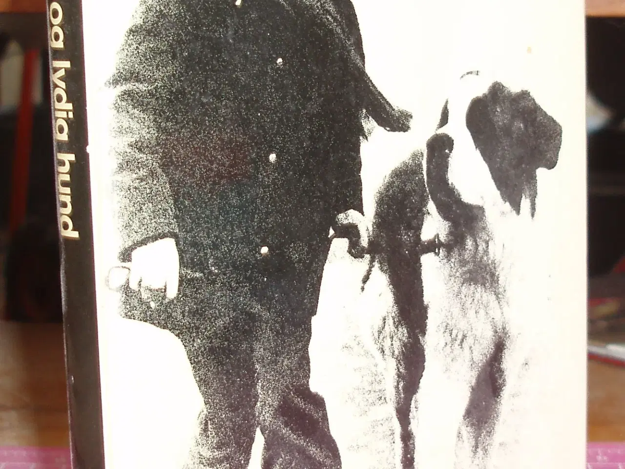 Billede 1 - Få en glad og lydig hund