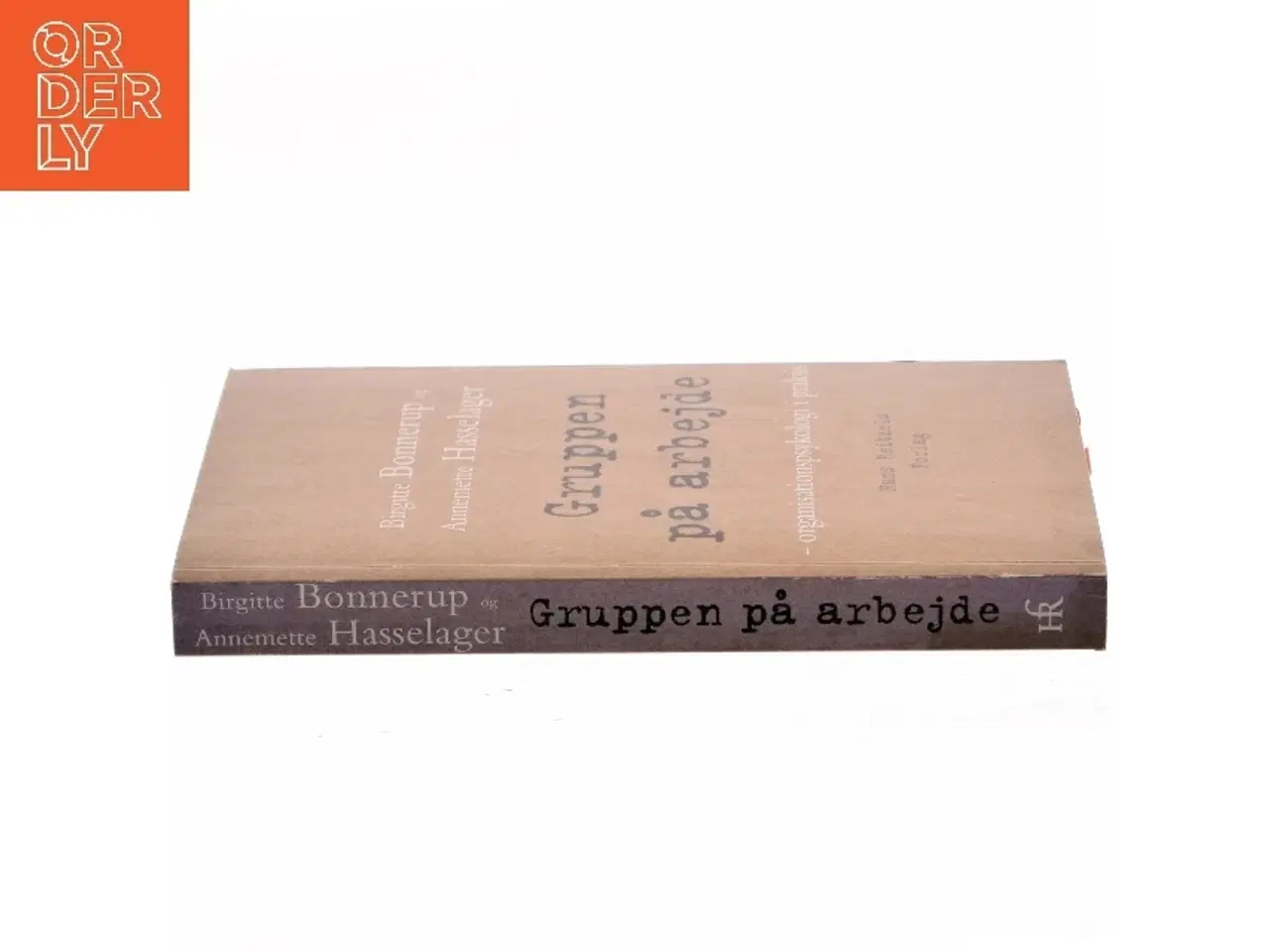 Billede 2 - Gruppen på arbejde : organisationspsykologi i praksis (Bog)