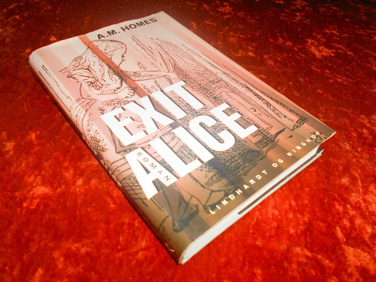 Billede 1 - Exit Alice, A. M. Homes