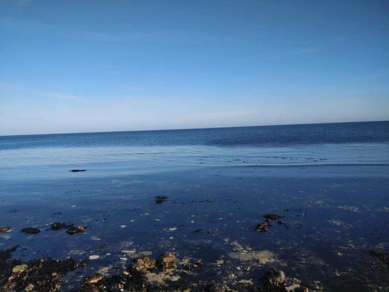 Billede 3 - 4 Hyldeknægte med krummelurer 24x28x2,5cm