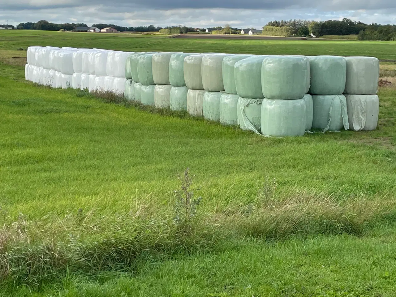 Billede 2 - Wrap hø til heste