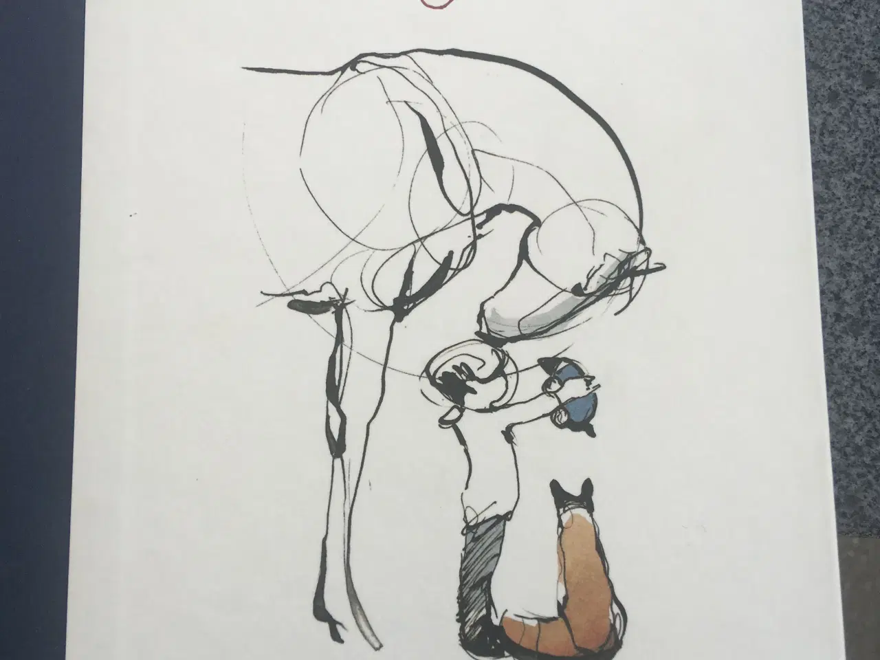 Billede 1 - Købes: Drengen, muldvarpen, ræven—Charlie Maskery