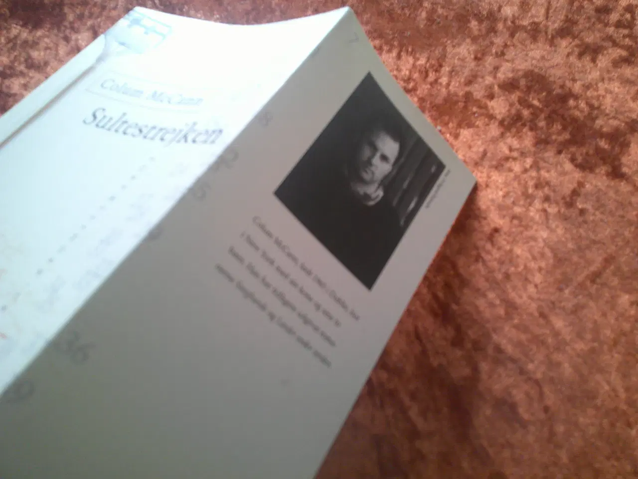 Billede 2 - Sultestrejken, Colum McCann