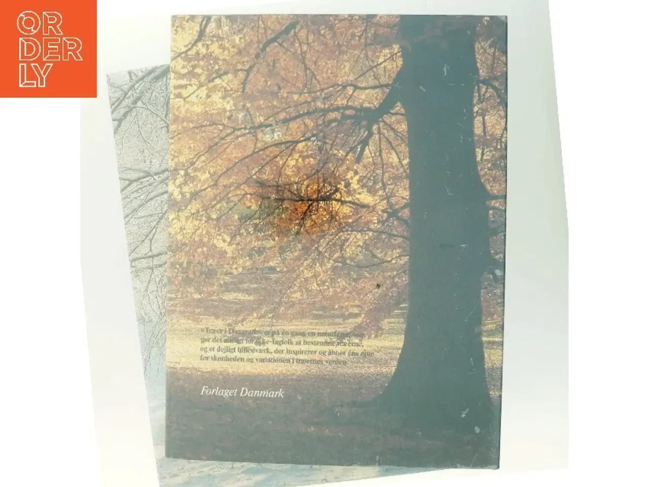 Billede 3 - Træer i Danmark 1 af Roger Phillips (Bog)