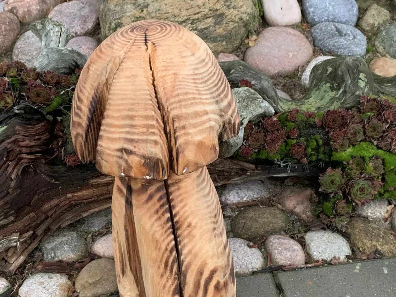 Billede 3 - PADDEHAT / TRÆSVAMP - Ny pris