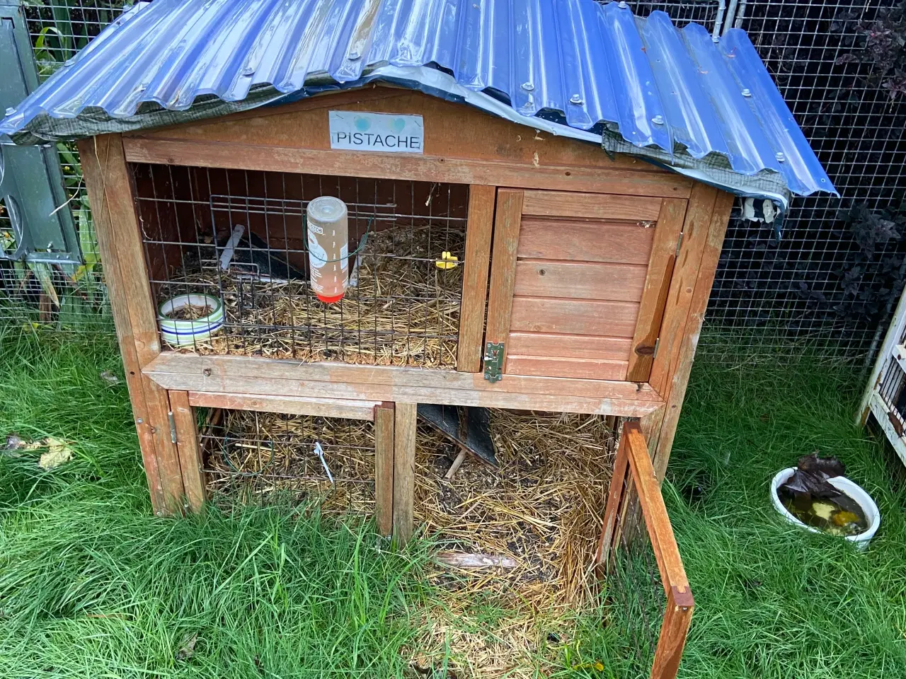 Billede 1 - Marsvin med bur