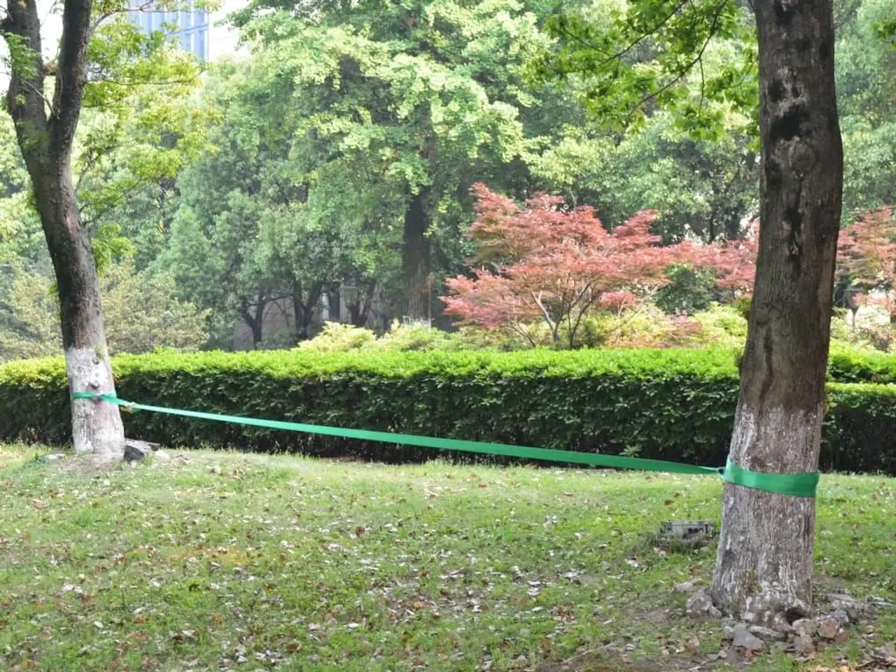 Billede 6 - Slackline 15 m x 50 mm 150 kg grøn