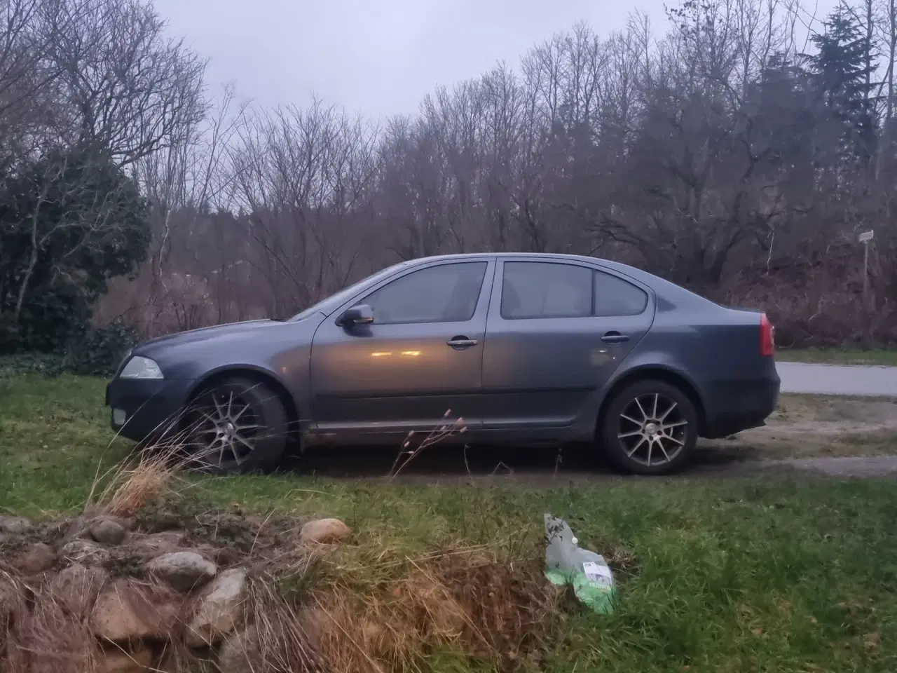 Billede 8 - Skoda Octavia 2,0 TDi Elegance