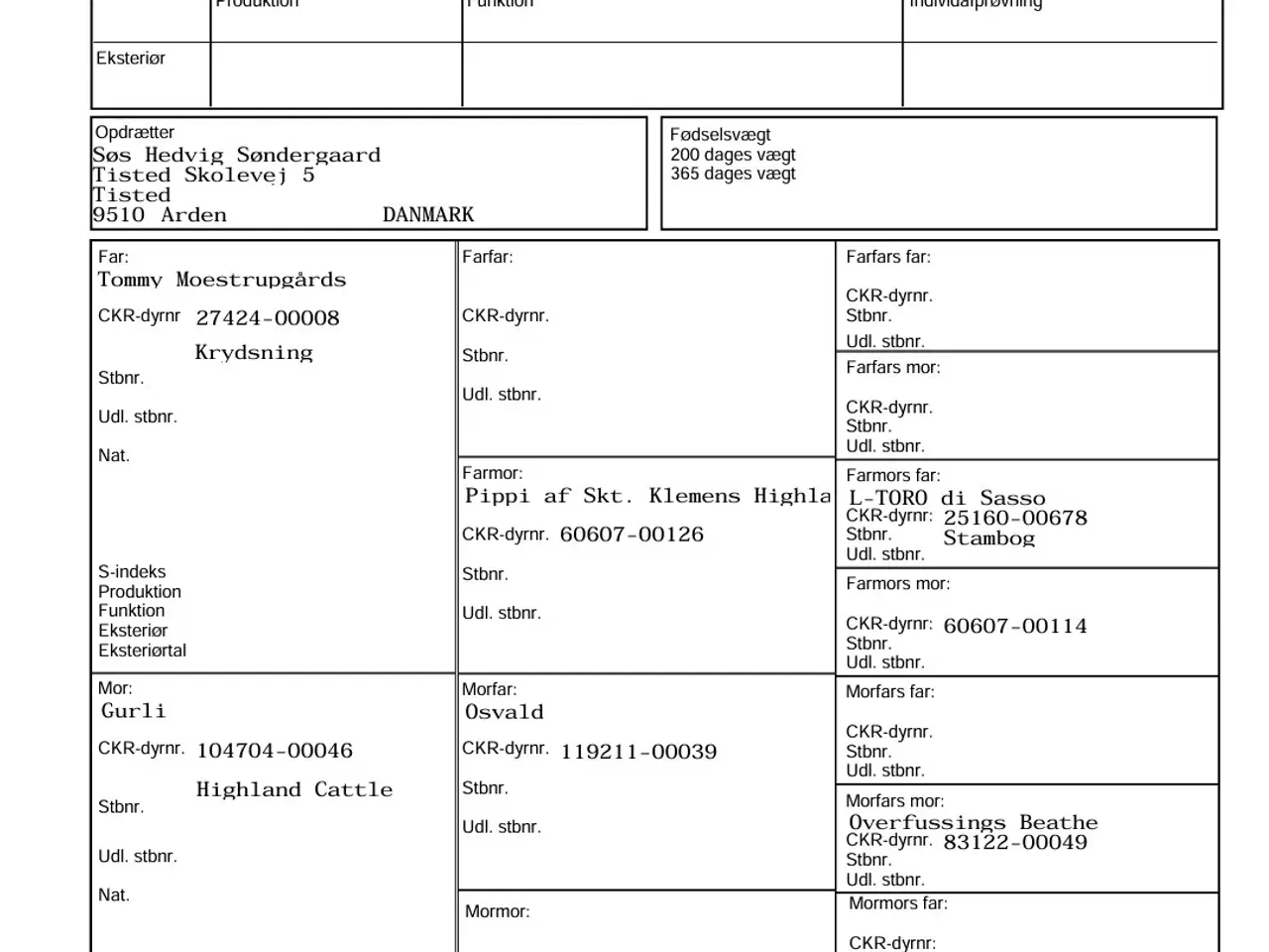 Billede 9 - Skotsk højlandskvæg tyrkalv