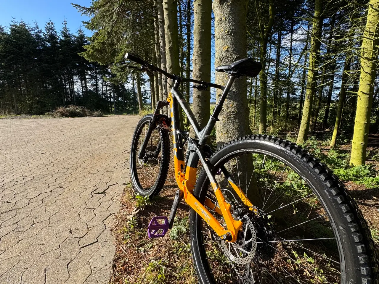 Billede 2 - Trek fuel ex 5