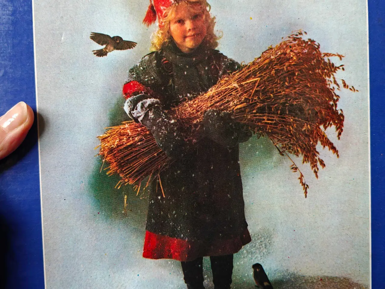 Billede 2 - Glansbilleder i mapper 