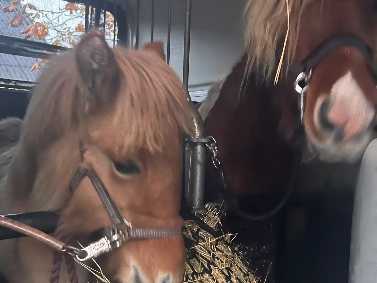 Billede 2 - Her og nu pris 30.000