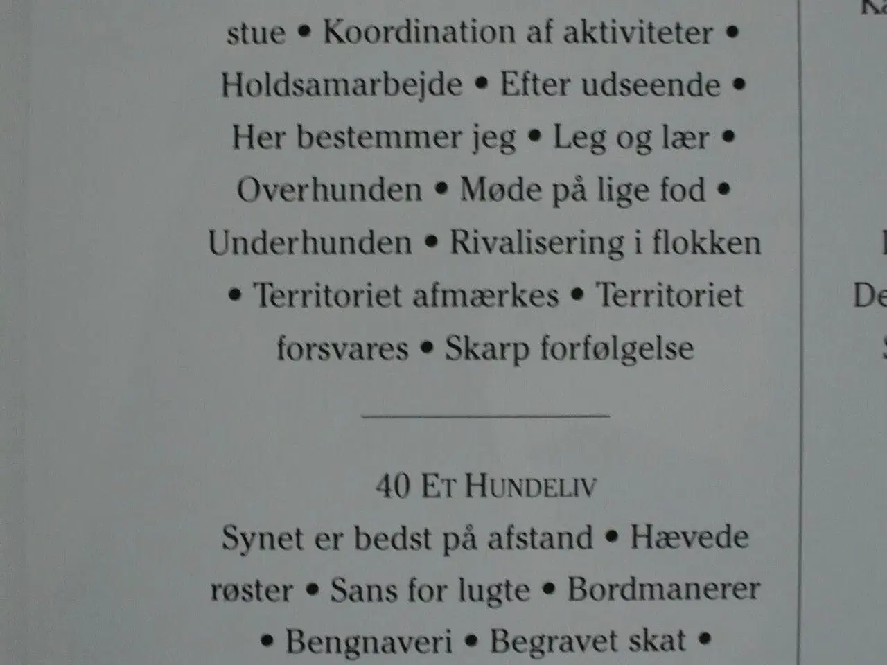 Billede 2 - forstå din hund, af bruce fogle, emne: dyr