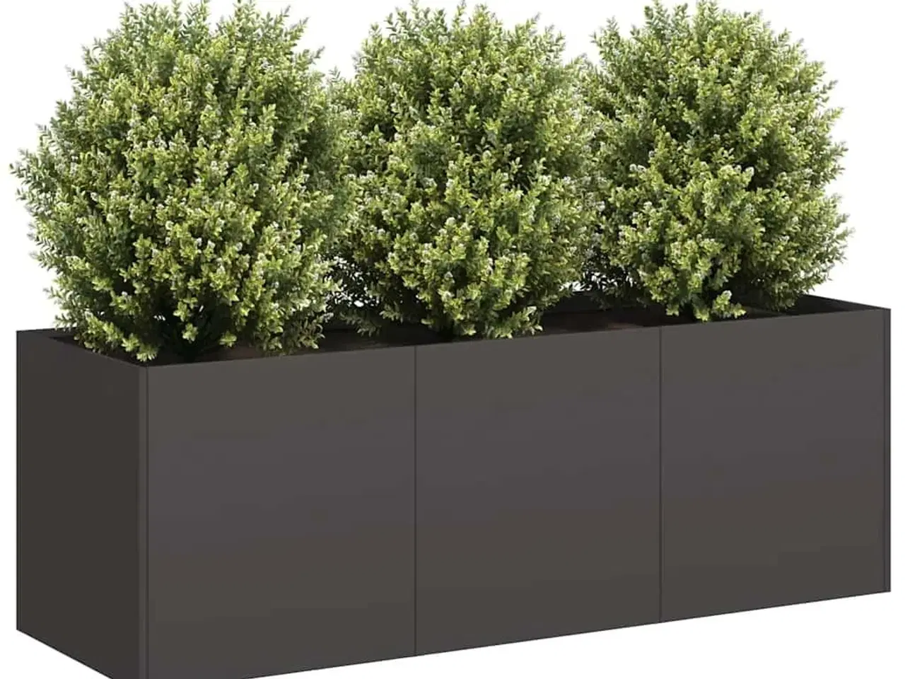 Billede 1 - Plantekasse sort 120x40x40 cm koldvalset stål
