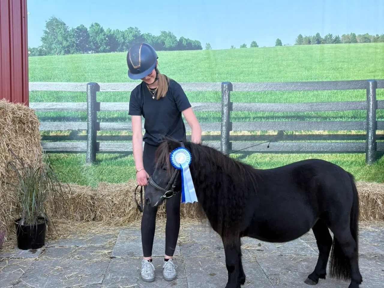 Billede 2 - Verdens sødeste pony søger nyt hjem